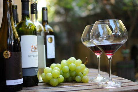 Bratislava: Guided Wine Tour & Local Bar Wine-Tasting