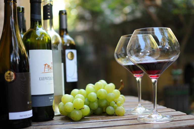 Bratislava: Guided Wine Tour & Local Bar Wine-Tasting