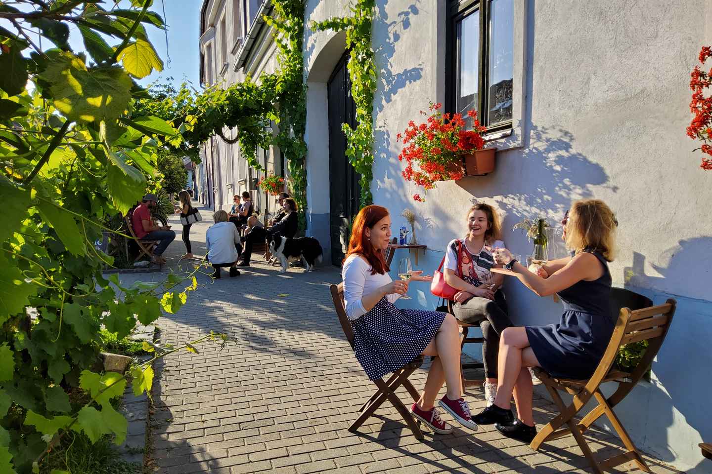 Bratislava: Guided Wine Tour & Local Bar Wine-Tasting - Bratislava: Guided Wine Tour & Local Bar Wine-Tasting