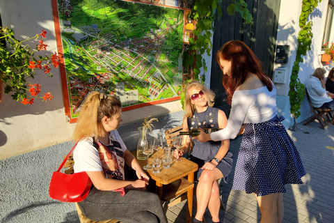 Bratislava: Guided Wine Tour & Local Bar Wine-Tasting