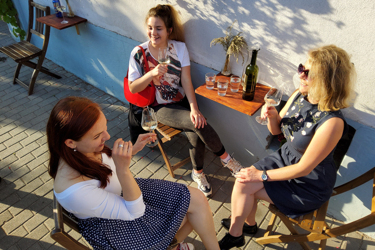 Bratislava: Guided Wine Tour & Local Bar Wine-Tasting