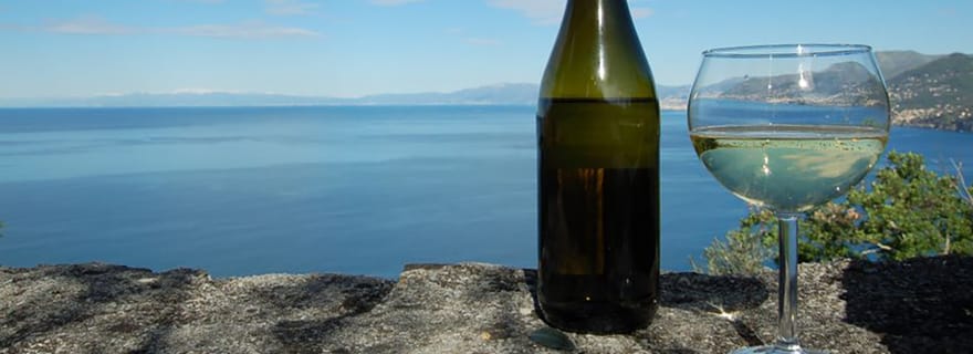 Camogli : dégustation de vins liguriens