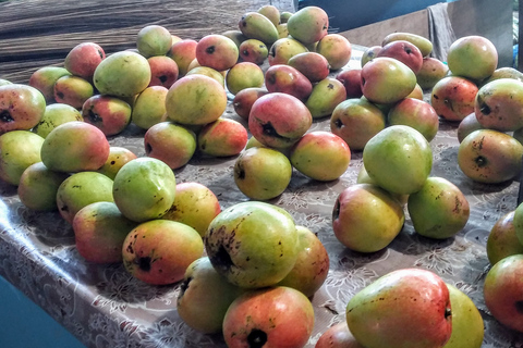 Mahé: Individuelle private Inseltour mit Fahrer