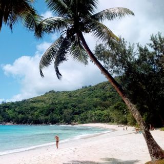 Seychelles: tour di 5 spiagge