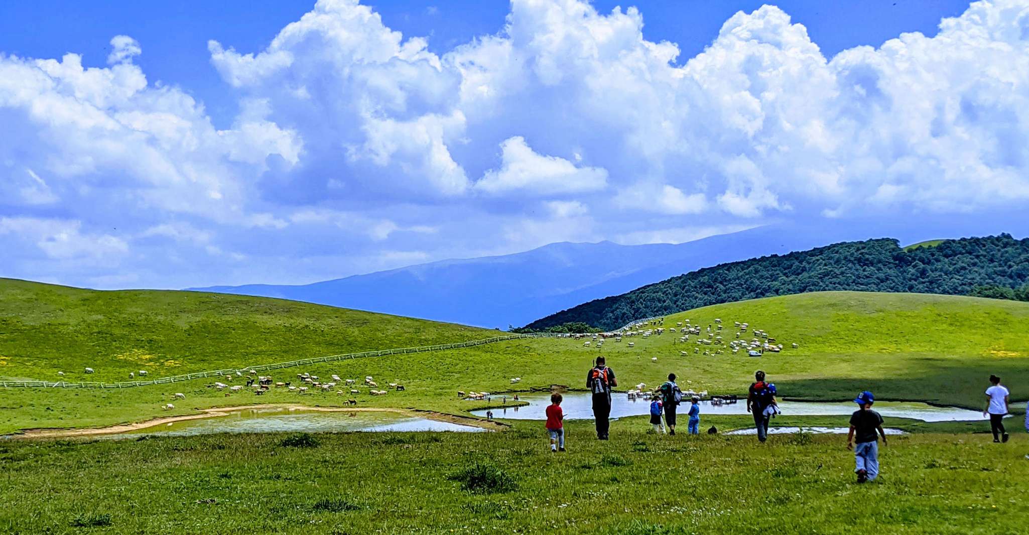 Norcia, Guided Hiking Tour in the Countryside - Hizvo