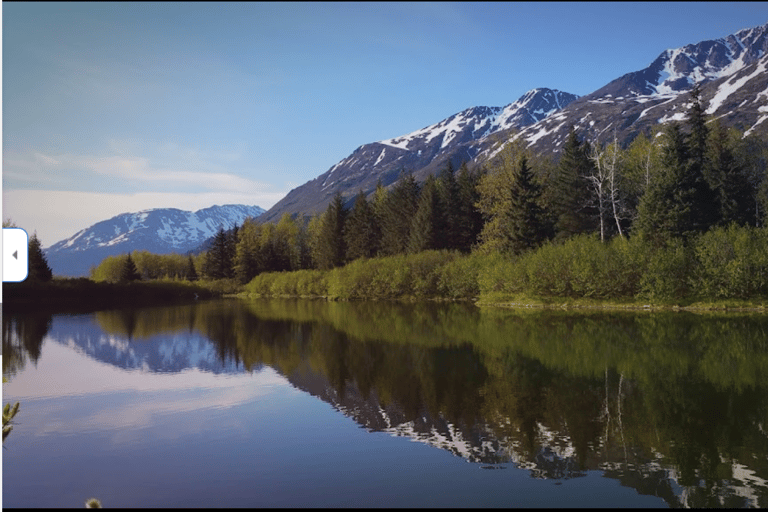 From Anchorage: Wilderness, Wildlife, & Glacier Experience
