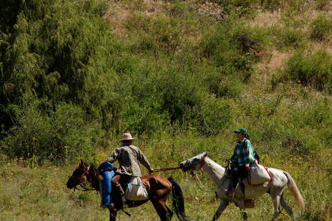 Kathmandu: Horseback Riding Tour with Picnic and Guide