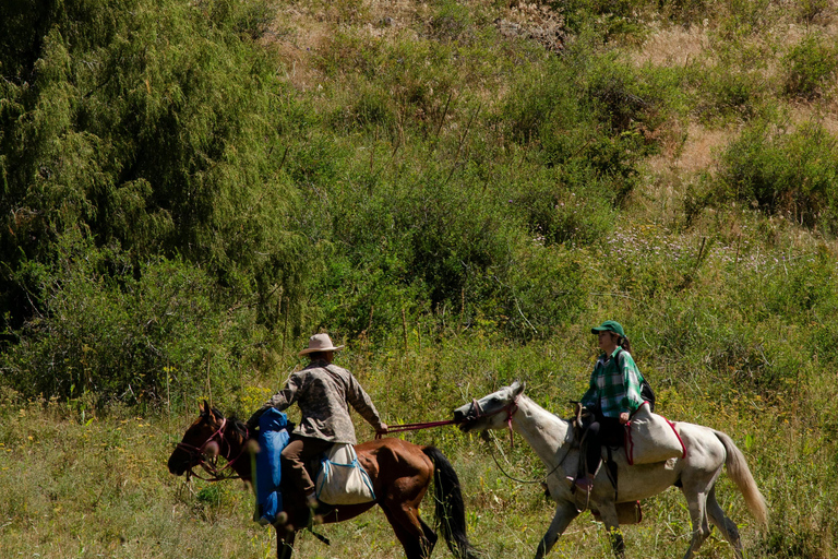 Kathmandu: Horseback Riding Tour with Picnic and Guide