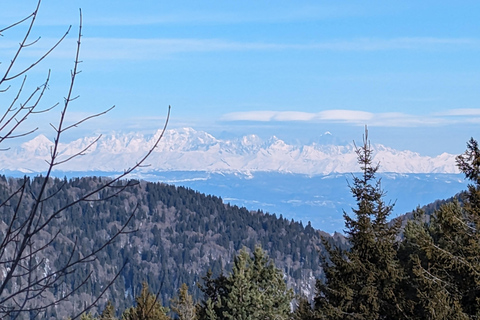 Snowshoeing in Georgia: Borjomi-Kharagauli National Park