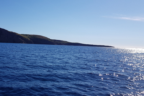 Coin de Mire 2 uur durende privé-snorkeltripStandaard Optie: