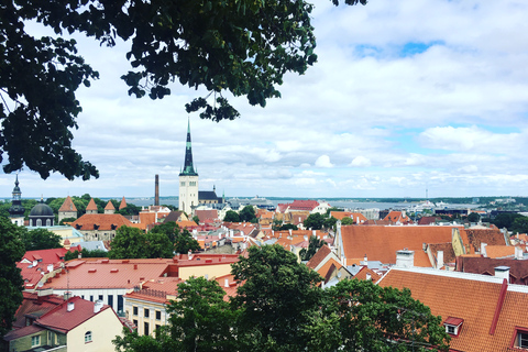 Tallinn: Day Tour from Helsinki with Hotel Pickup