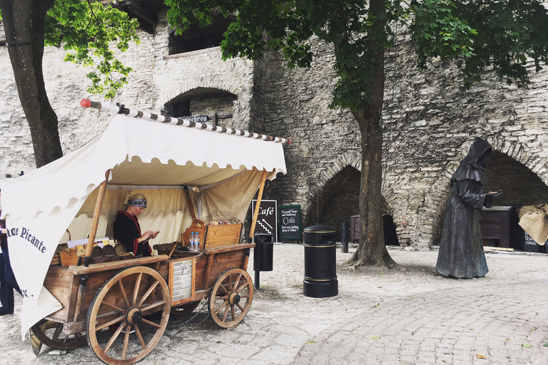 Tallinn: dagtour vanuit Helsinki met hotelovername