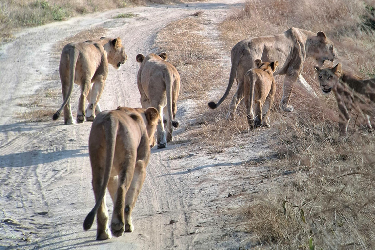Arusha: 4 giorni di safari nel Serengeti e nel cratere del NgorongoroSafari privato