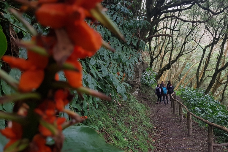 Lomba de São Pedro: excursión a pie por la cascada con degustación de té