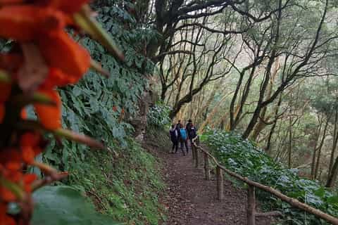 Lomba de São Pedro: Caminhada em Cachoeira com Degustação de Chá