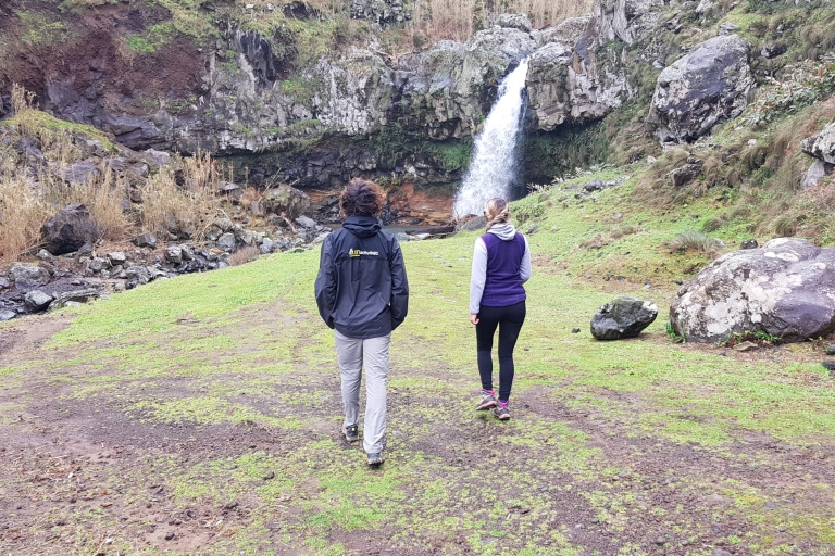 Lomba de São Pedro: wycieczka piesza po wodospadzie z degustacją herbaty