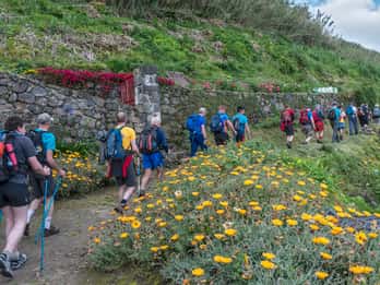 São Miguel: Caminata por Ribeira Funda y plantación de té con almuerzo
