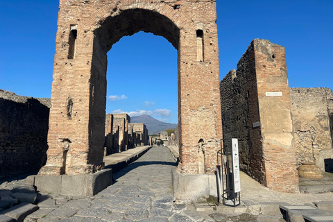 De Rome: visite d'une journée à Pompéi et Naples