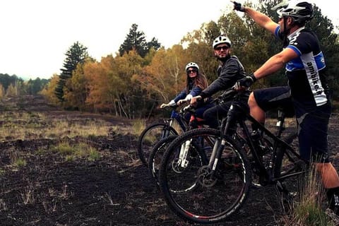 Mount Etna: Guided Mountain Bike Tour