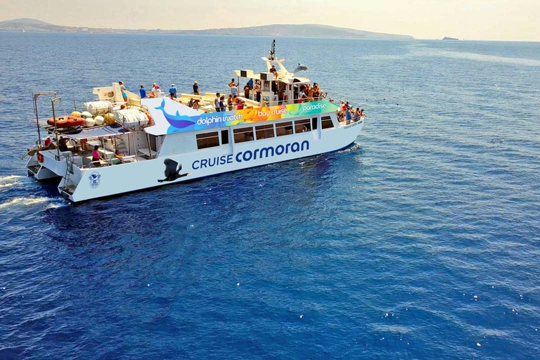 Mallorca: 2-Hour Dolphin Watching Cruise & Glass-Bottom Boat Paguera Meeting Point