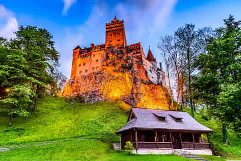 From Bucharest: Peles, Bran Castle & Old Town Brasov Tour