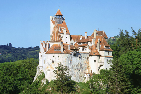 Bukarest: Draculas slott, Peles slott och Brasovs gamla stad