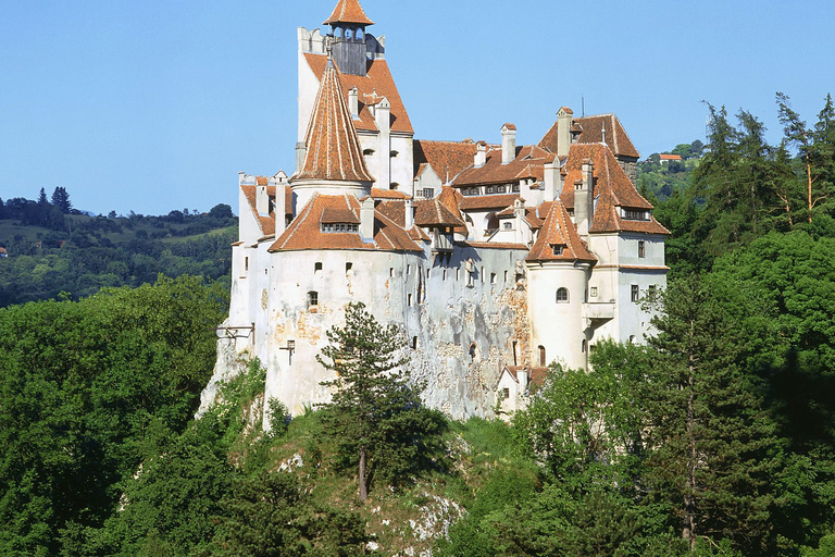 Bukarest: Draculas slott, Peles slott och Brasovs gamla stad