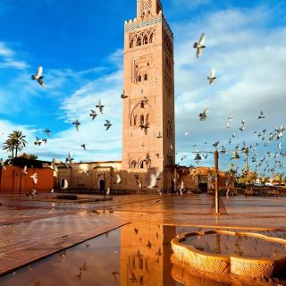 Marrakech: Tour of Majorelle and Menara Gardens