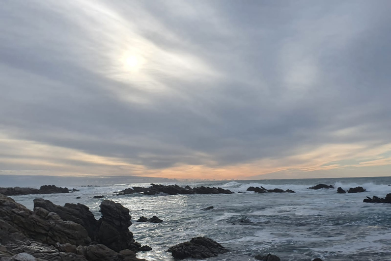 Cape Town: Cape Aghullas Van Tour avec prise en charge à l'hôtel