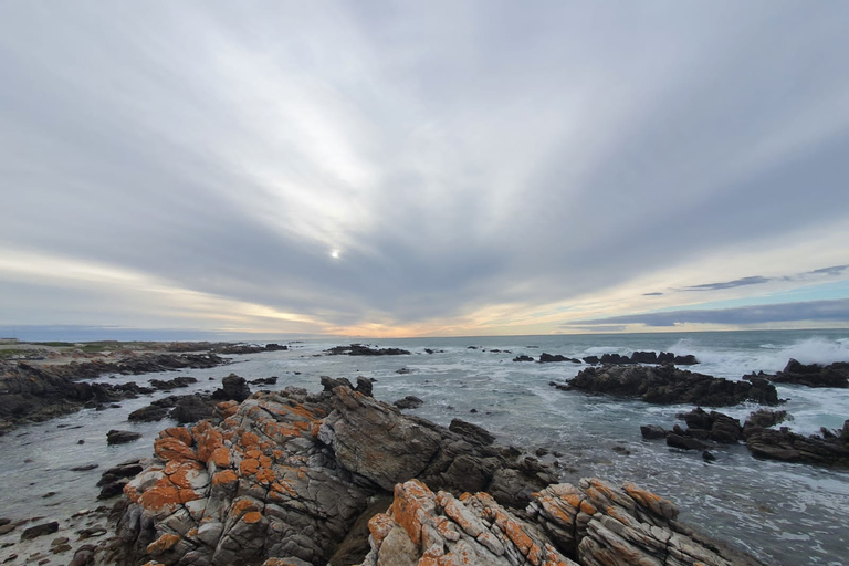 Cape Town: Cape Aghullas Van Tour avec prise en charge à l'hôtel