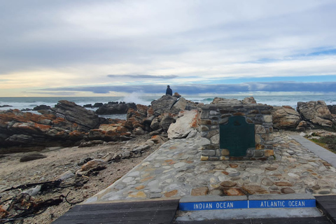 Kapsztad: Cape Aghullas Van Tour z odbiorem z hotelu