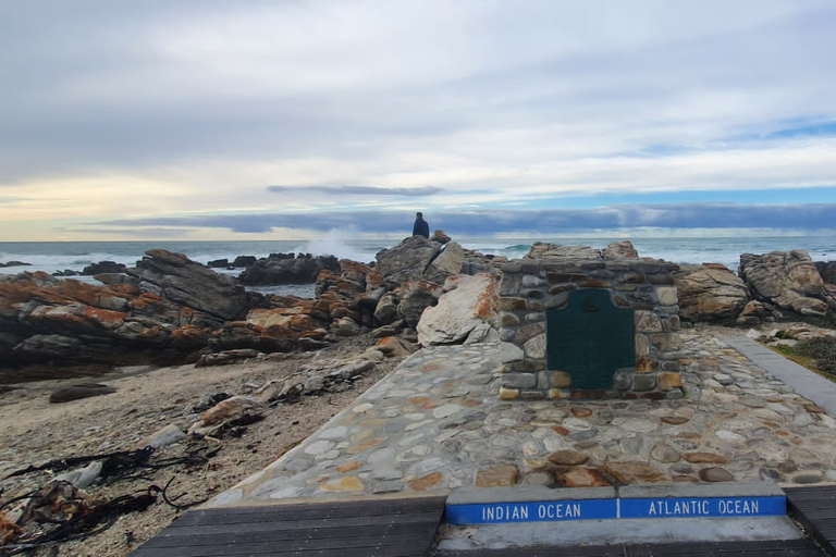 Kapstaden: Cape Aghullas Van Tour med hotellhämtning