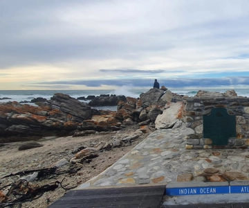 Cape Town: Cape Aghullas Van Tour with Hotel Pickup