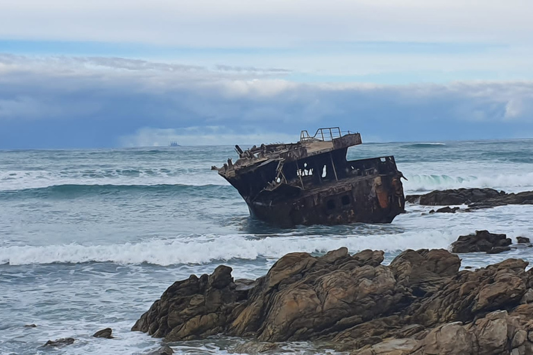 Kaapstad: Cape Aghullas Van Tour met hotelovername