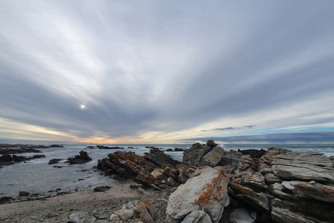 Cape Town: Cape Aghullas Van Tour avec prise en charge à l'hôtel