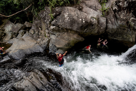 Van San Juan: El Yunque Forest Hike & Ziplining Combo TourVan San Juan: Yunque Rainforest Hike & Ziplining Combo Tour