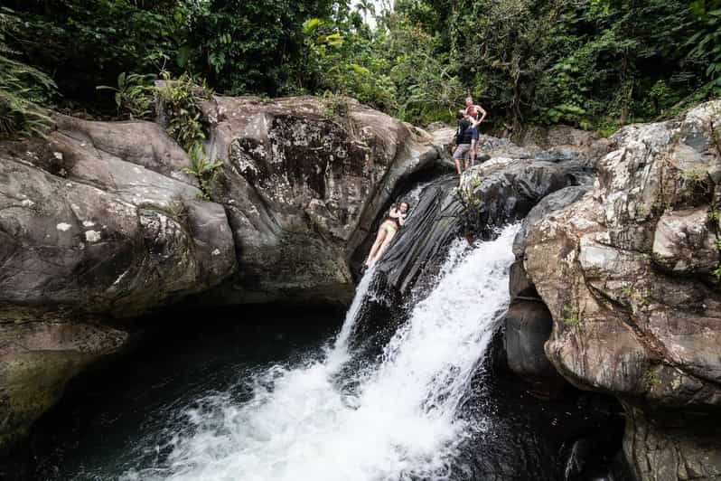 Van San Juan El Yunque Forest Hike & Ziplining Combo Tour GetYourGuide