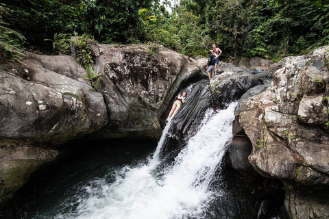 Van San Juan: El Yunque Forest Hike & Ziplining Combo TourVan San Juan: Yunque Rainforest Hike & Ziplining Combo Tour