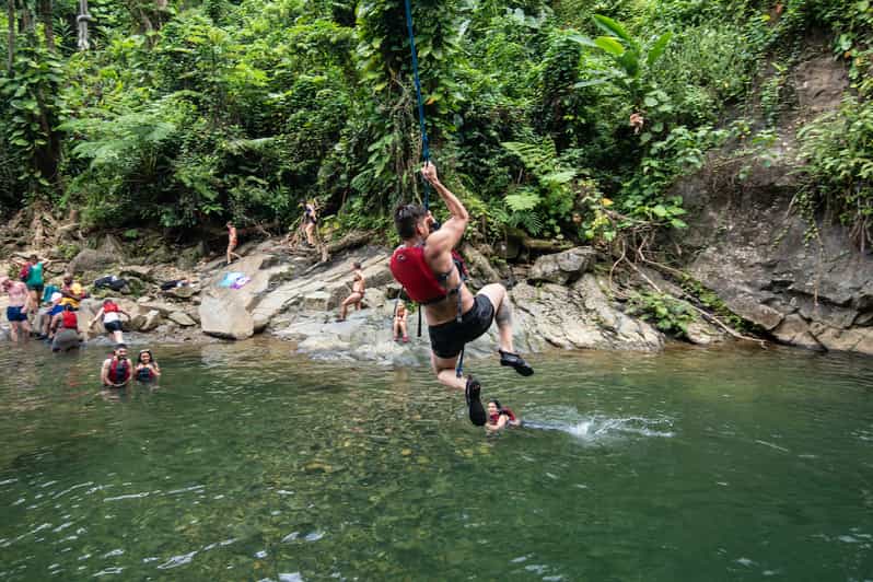 Van San Juan El Yunque Forest Hike & Ziplining Combo Tour GetYourGuide