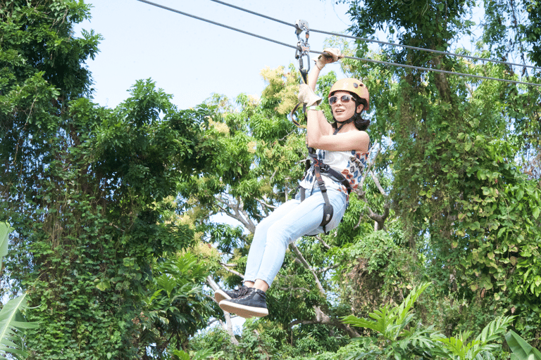 Van San Juan: El Yunque Forest Hike & Ziplining Combo TourVan San Juan: Yunque Rainforest Hike & Ziplining Combo Tour