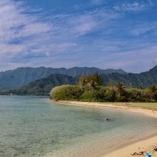 From Honolulu: 20 Exciting Sites North Shore of Oahu Tour