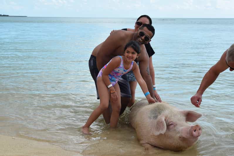 ナッソー ホテルトランスファー付きピッグビーチアイランドチケット Getyourguide