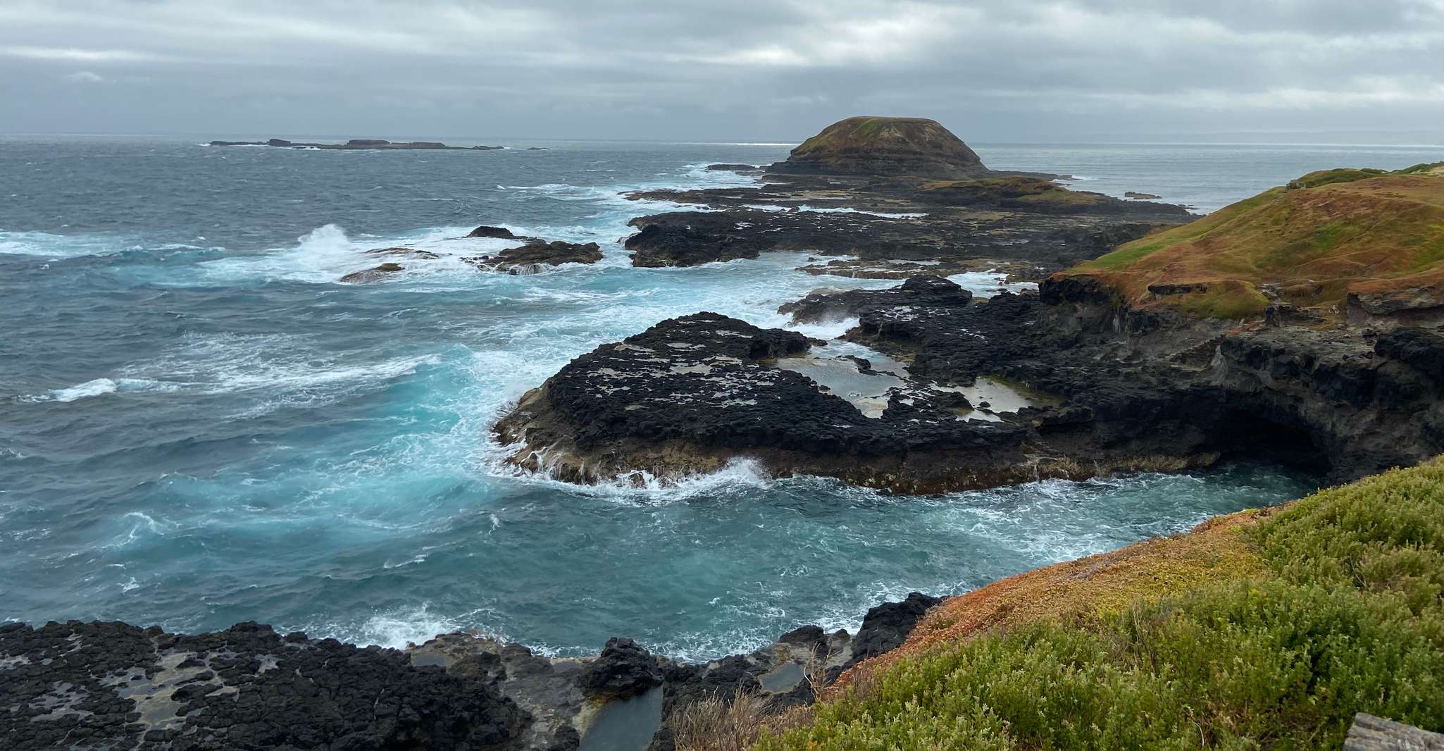 Melbourne: Phillip Island Tour & Penguin Parade photo 7