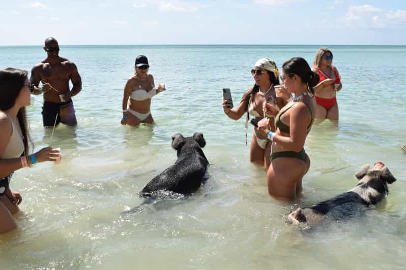 ナッソー ホテルトランスファー付きピッグビーチアイランドチケット Getyourguide