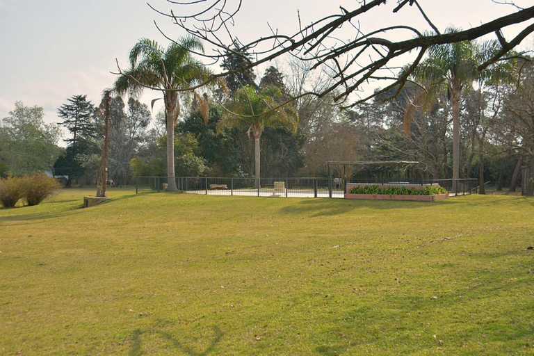 Buenos Aires: Gaucho Day Experience with Asado (BBQ)