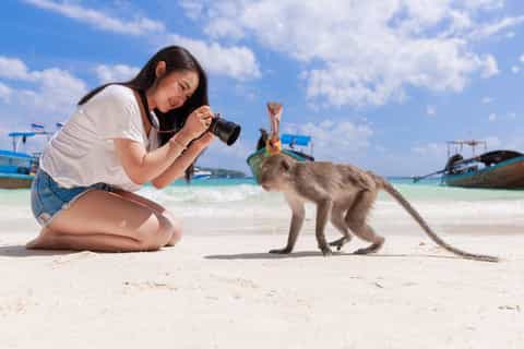 Phuket: Phi Phi Islands and Maya Bay Day Trip with Lunch