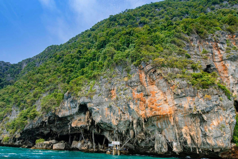 Phuket: Phi Phi-öarna och Maya Bay dagsutflykt med lunchPhuket: Dagstur till Phi Phi-öarna och Mayaviken med lunch