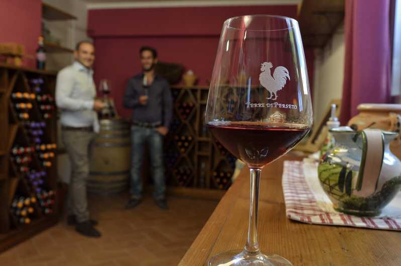 Chianti: Terre Di Perseto Winery Guided Tasting and Tour