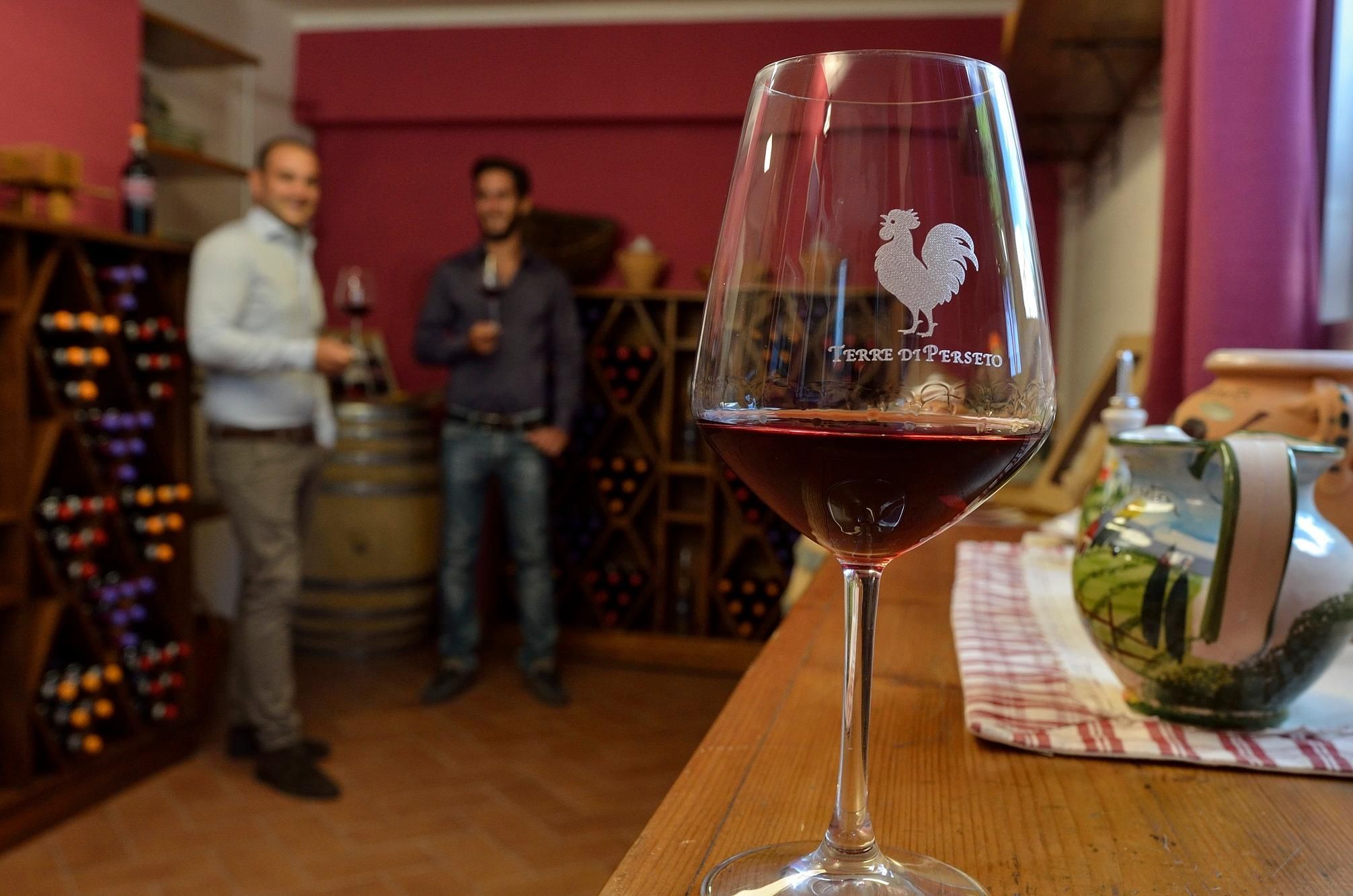 Chianti: Terre Di Perseto Weingut Geführte Verkostung & Tour