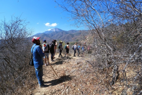 Von Oaxaca: Hierve el Agua-Wanderung und Mezcal-Tour
